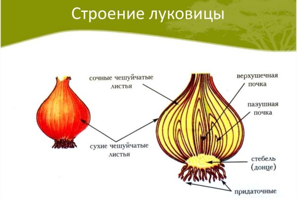 Что случилось с кракеном сайт